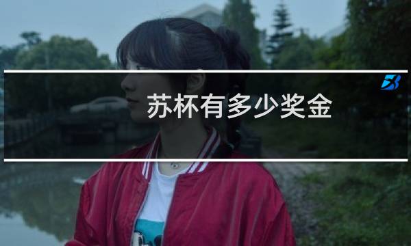 苏杯有多少奖金图片