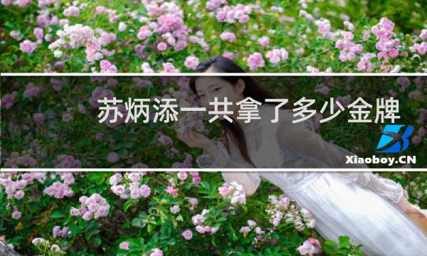 苏炳添一共拿了多少金牌图片