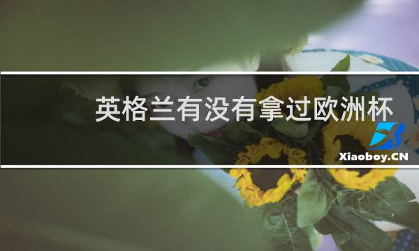 英格兰有没有拿过欧洲杯冠军图片