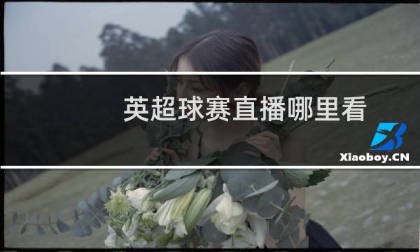 英超球赛直播哪里看图片