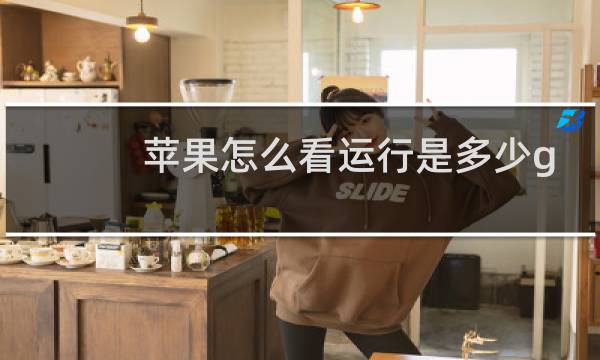 苹果怎么看运行是多少g图片