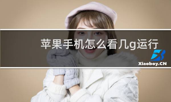 苹果手机怎么看几g运行图片