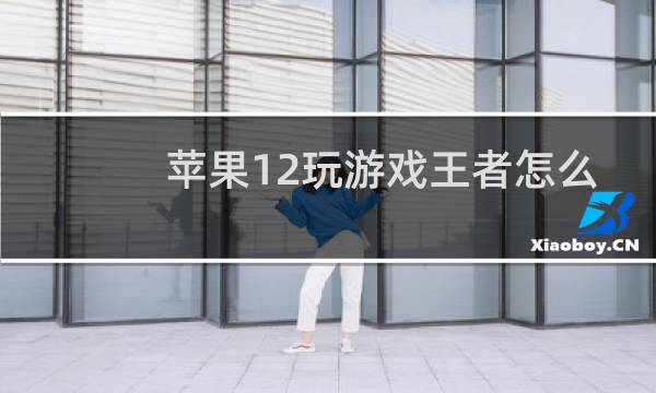 苹果12玩游戏王者怎么样图片