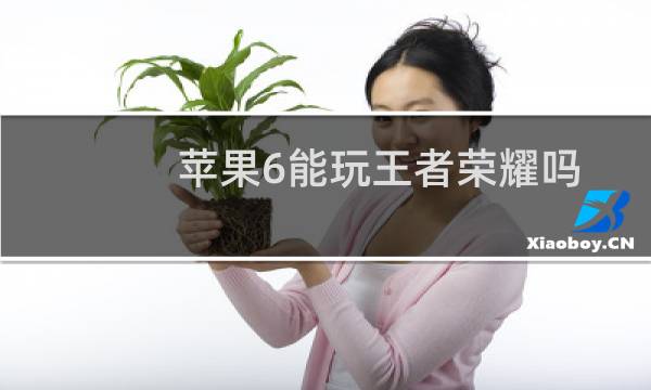 苹果6能玩王者荣耀吗图片