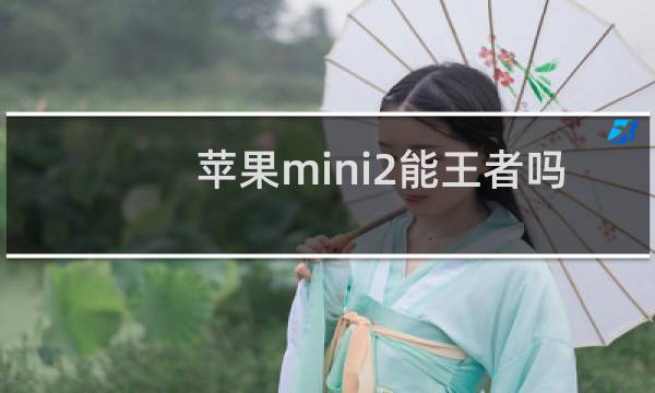 苹果mini2能王者吗图片