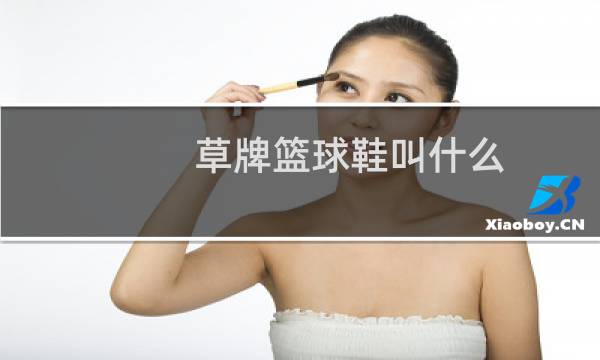 草牌篮球鞋叫什么图片