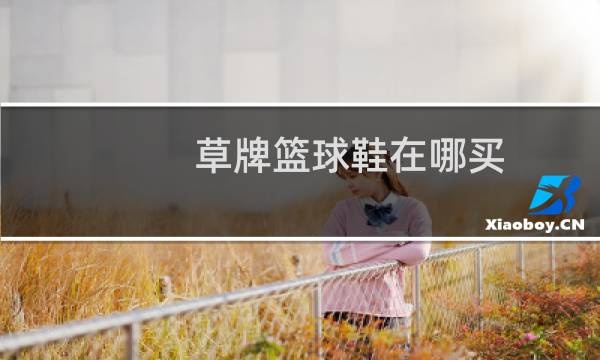 草牌篮球鞋在哪买图片