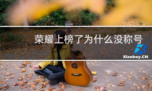 荣耀上榜了为什么没称号图片