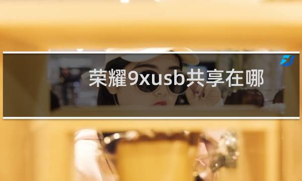 荣耀9xusb共享在哪图片
