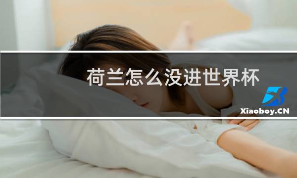 荷兰怎么没进世界杯图片