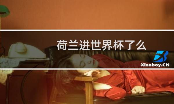 荷兰进世界杯了么图片