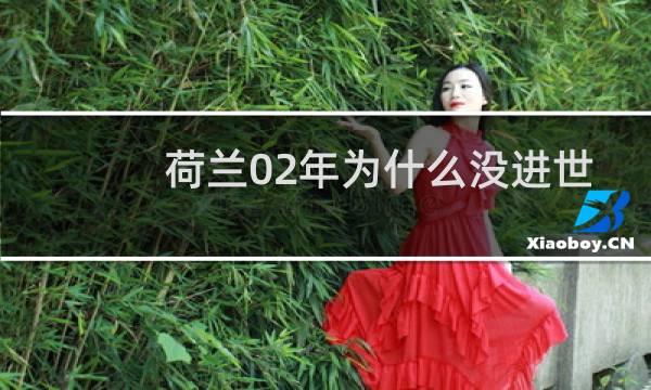 荷兰02年为什么没进世界杯图片