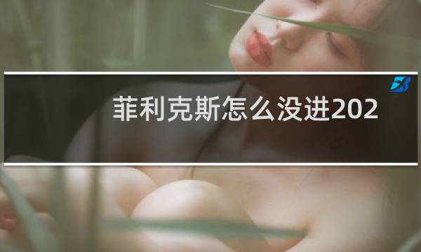 菲利克斯怎么没进2021欧洲杯图片