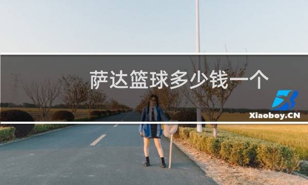 萨达篮球多少钱一个图片