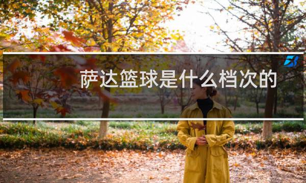 萨达篮球是什么档次的图片