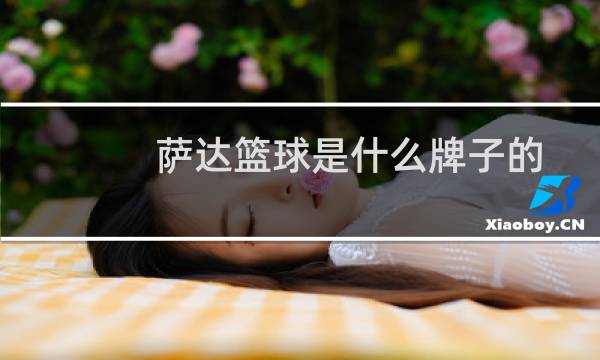 萨达篮球是什么牌子的图片