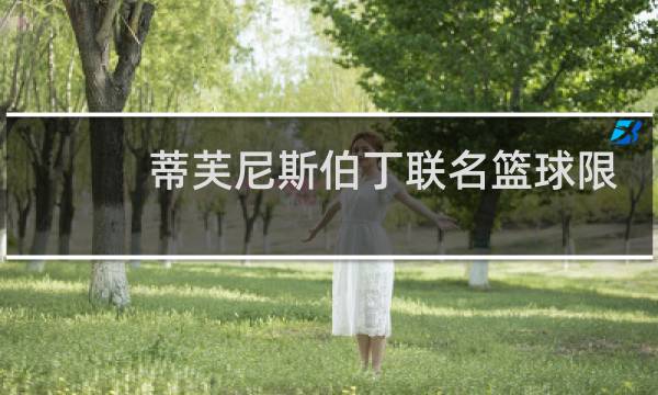 蒂芙尼斯伯丁联名篮球限量多少图片