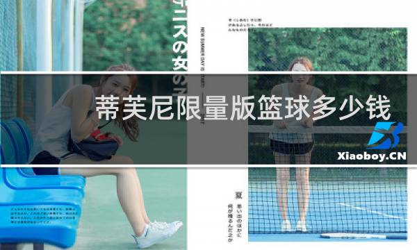 蒂芙尼限量版篮球多少钱图片