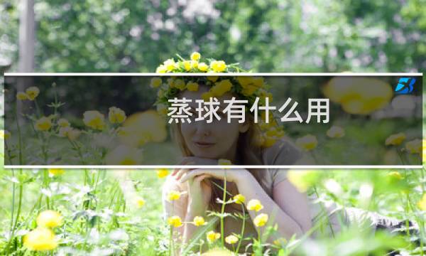 蒸球有什么用图片