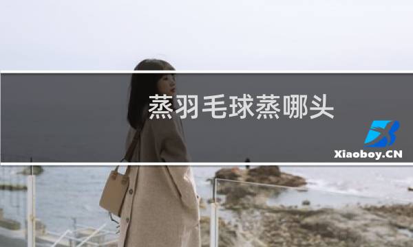 蒸羽毛球蒸哪头图片