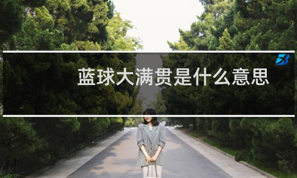 蓝球大满贯是什么意思图片