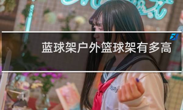 蓝球架户外篮球架有多高图片