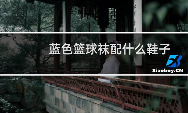 蓝色篮球袜配什么鞋子图片