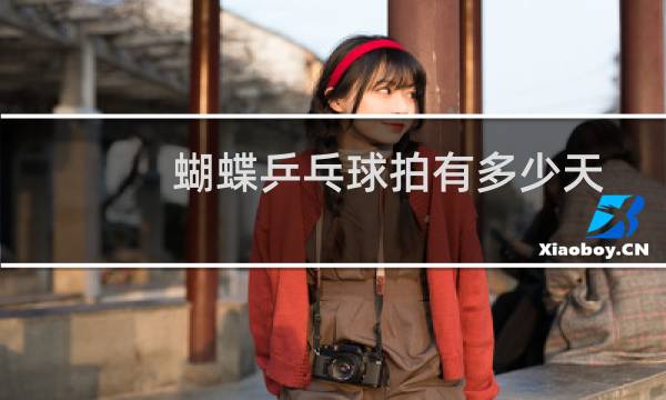 蝴蝶乒乓球拍有多少天图片