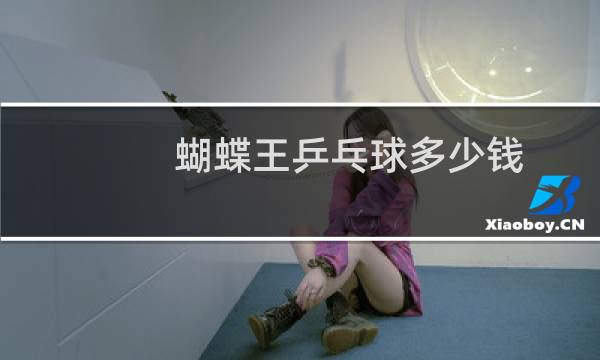 蝴蝶王乒乓球多少钱图片