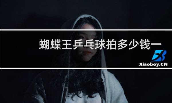 蝴蝶王乒乓球拍多少钱一个图片
