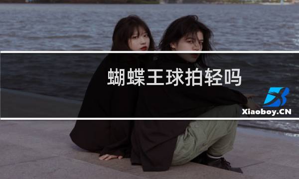 蝴蝶王球拍轻吗图片