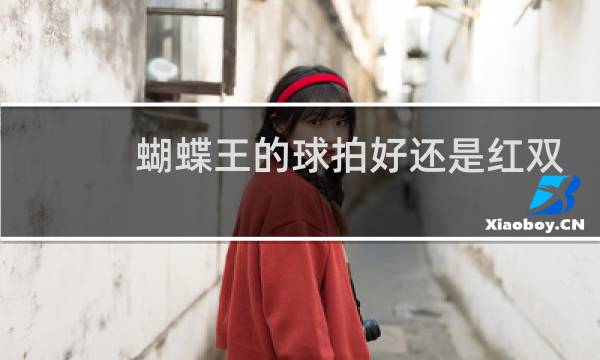 蝴蝶王的球拍好还是红双喜的好图片