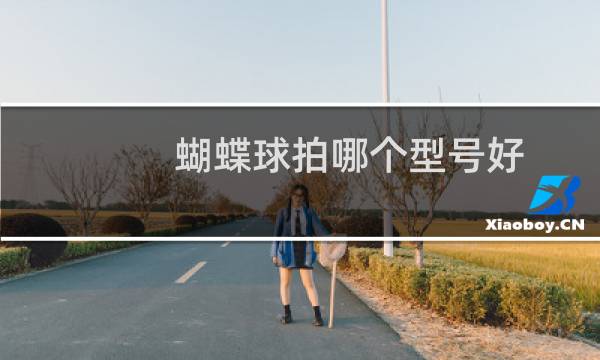 蝴蝶球拍哪个型号好图片