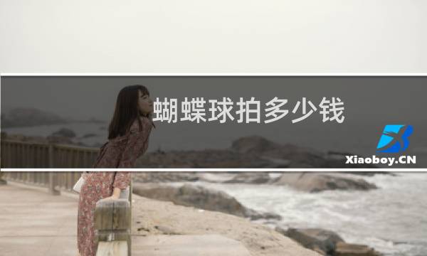 蝴蝶球拍多少钱图片