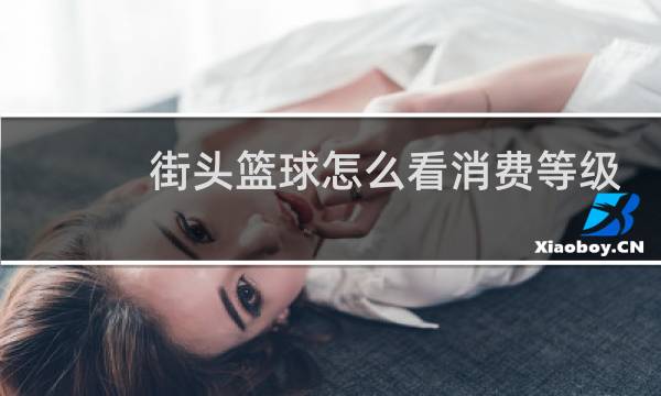 街头篮球怎么看消费等级图片