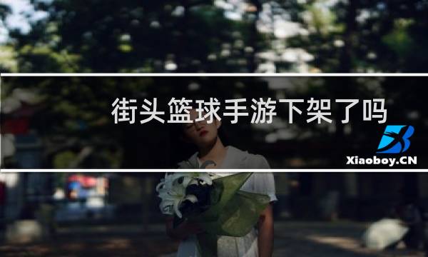 街头篮球手游下架了吗图片