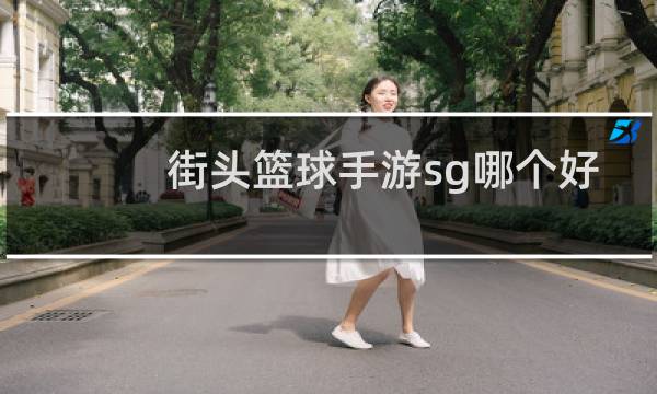 街头篮球手游sg哪个好图片