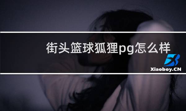 街头篮球狐狸pg怎么样图片