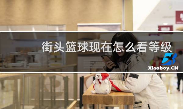 街头篮球现在怎么看等级图片