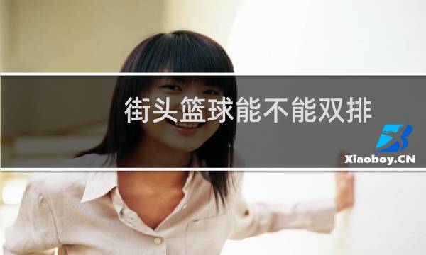 街头篮球能不能双排图片