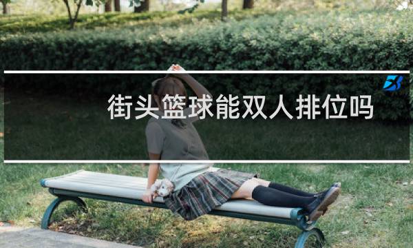 街头篮球能双人排位吗图片