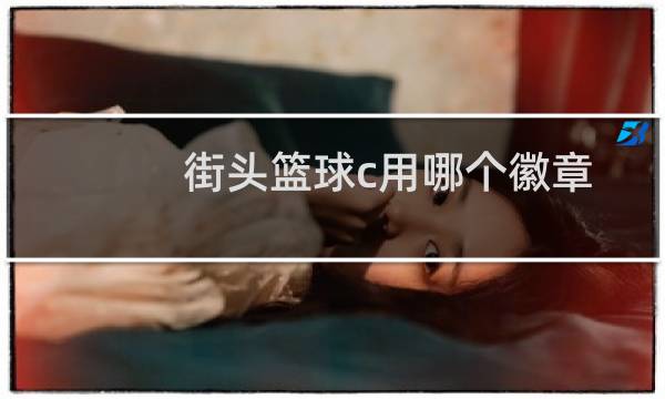 街头篮球c用哪个徽章图片