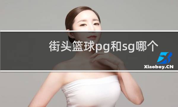 街头篮球pg和sg哪个好玩图片