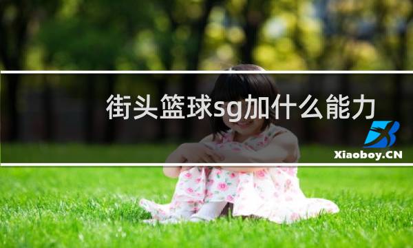 街头篮球sg加什么能力图片
