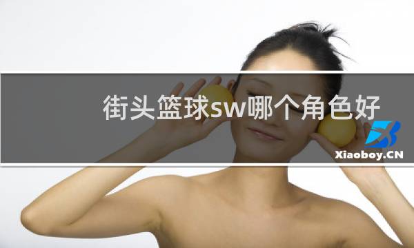 街头篮球sw哪个角色好图片