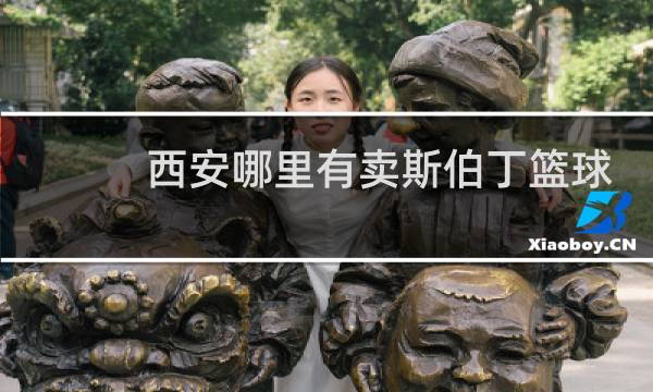 西安哪里有卖斯伯丁篮球图片