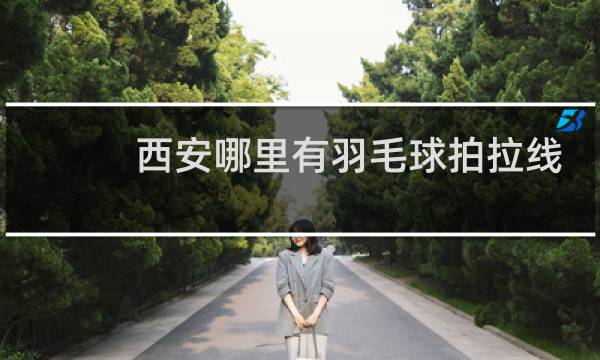 西安哪里有羽毛球拍拉线的图片