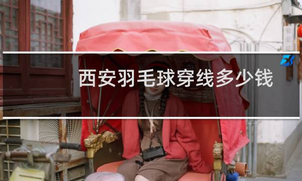 西安羽毛球穿线多少钱图片