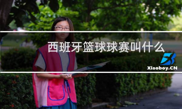 西班牙篮球球赛叫什么图片