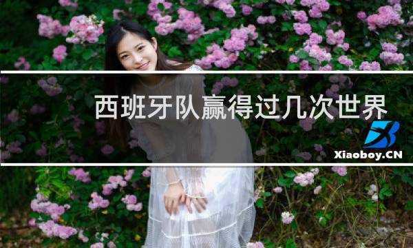 西班牙队赢得过几次世界杯图片